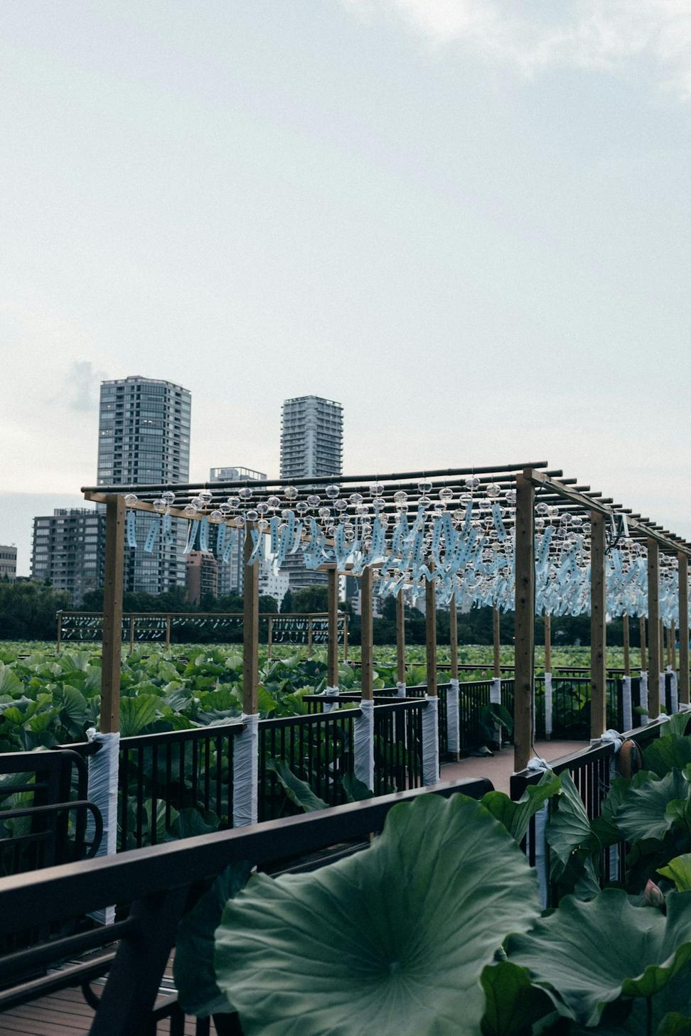 Junction Innovation Hub